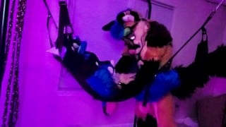 Xneo breed Sucario’s ass bareback in a sex swing