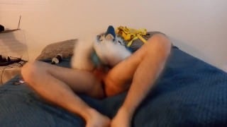Kobaruto, Sergal having fun in his new apartment