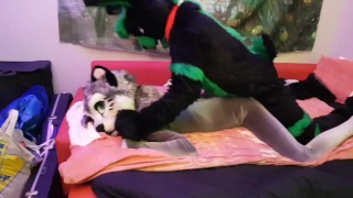 Bunny breeds a kitty Fursuit yiff