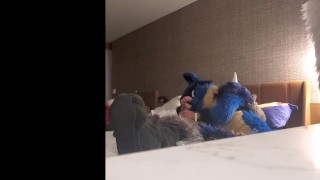 Sucario Breeds Luka Lucario x Lucario