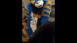 good kitty fucks the cum out of the bad dog then cums hands free