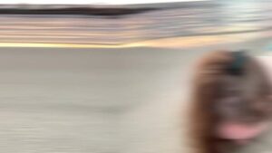 oral creampie compilation