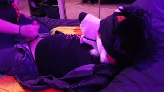 Caged puppy gets tied up, blindfolded, and teased