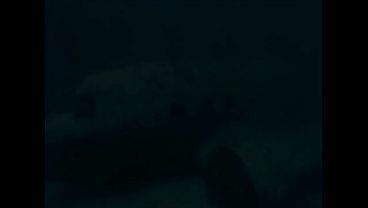 The Teacher Part 3 – 3D Porn Underwater Series