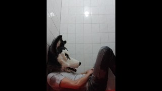 Wetting myself and playing with my piss